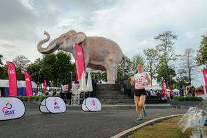 BIB: 
                            <button type="button" onclick="openModal(26528389)" class="btn btn-primary btn-sm float-right btn-popup" data-toggle="modal" data-target=".modal-high-quality">
                        <i class="fas fa-shopping-cart"></i> Add to Cart
                    </button>
                                            <button type="button" onclick="isThisMe(26528389, true)" class="btn btn-success btn-sm float-right btn-popup btn-isme hidden" data-toggle="tooltip" data-placement="bottom" title="นี่คือรูปของคุณใช่ไหม คลิกที่นี่เพื่อเอาเข้าอัลบั้ม">
                        <i class="fas fa-plus"></i> Add to album
                    </button>
                    <button type="button" onclick="isThisMe(26528389, false)" class="btn btn-warning btn-sm float-right btn-popup btn-isnotme hidden">
                        <i class="fas fa-ban"></i> Remove from album
                    </button>